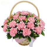 漳平鲜花速递